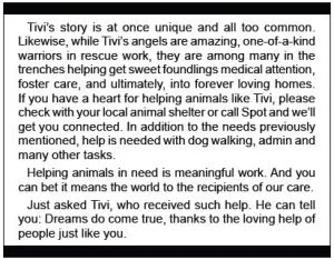 tiviblurb.jpg