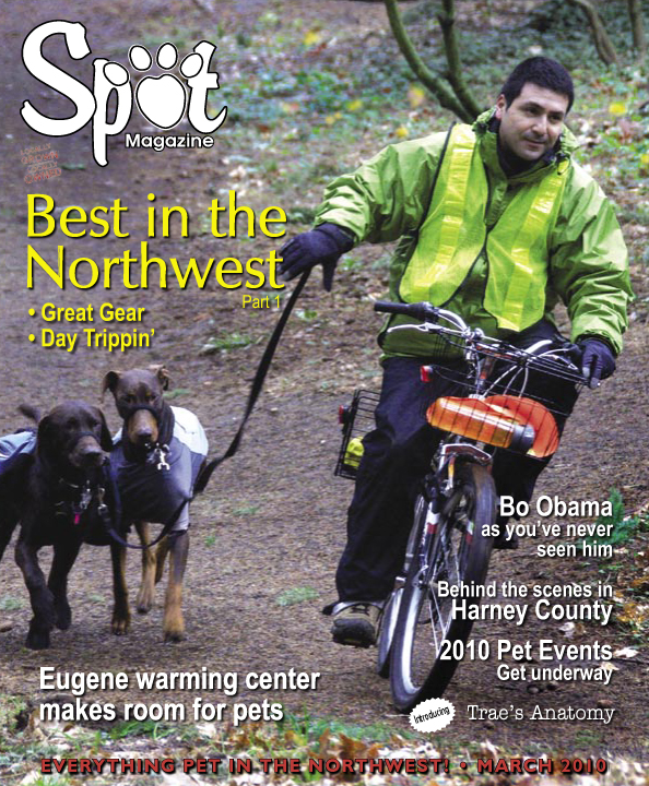 2010-3-Cover.jpg
