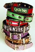 Cycle-Dog-Collar-Stack-sm1.jpg