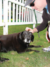 daytripping jeff and dog.jpg