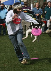 Flyball_Adriana and suki 099.jpg