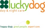 boardingluckydog.jpg