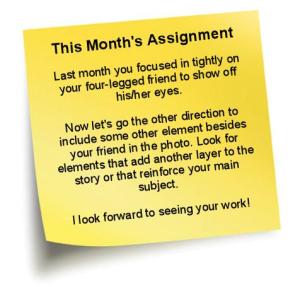 Photo101AssignmentOct.jpg