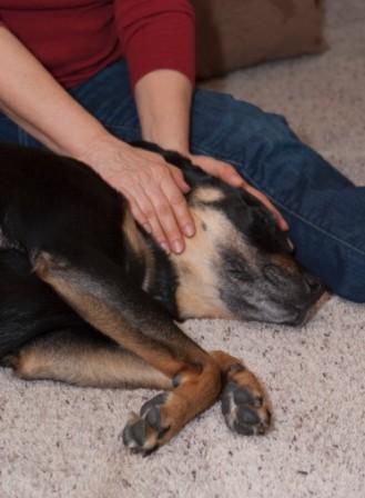 LovingTouchmassage.jpg