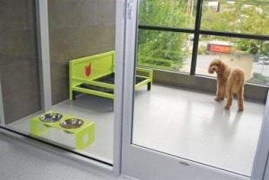 Sniff-LuxSuite.jpg