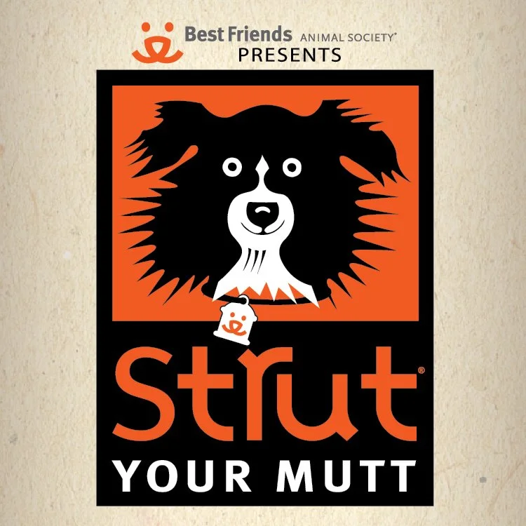 Photo-FetchStrut.jpg