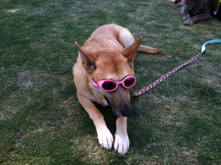 Madison keeps it cool.