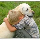 animal_empathy.jpg