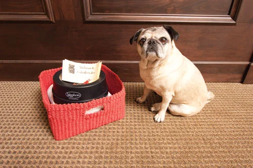 readerSpotlightlucy2-small.jpg