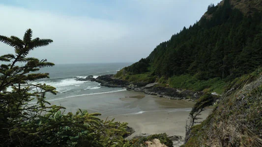 travel_Manzanita2.jpg