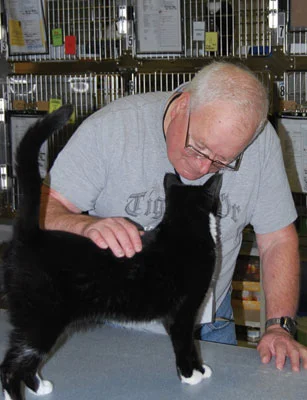 Kitty Kisses for volunteering © CAT