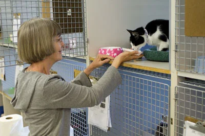 Volunteer greets kitty at CAT © Lamm Photography