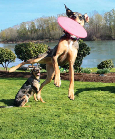 Disc-Katie-HilgemannIMG_1334.jpg