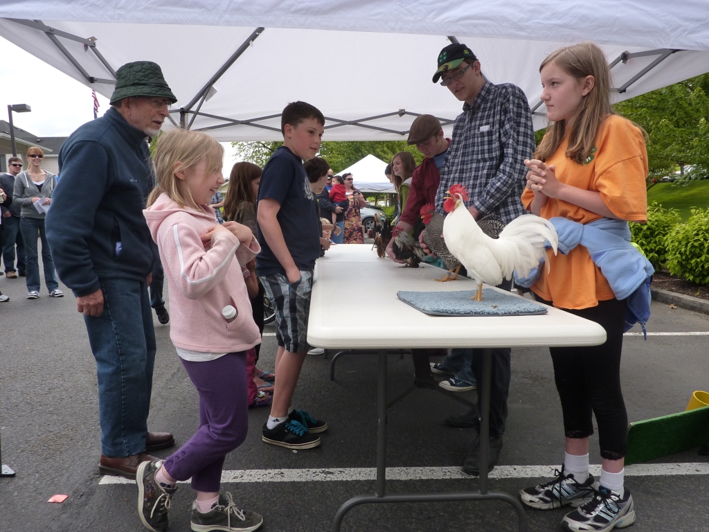 The rooster crowing contest at Poultry Palooza