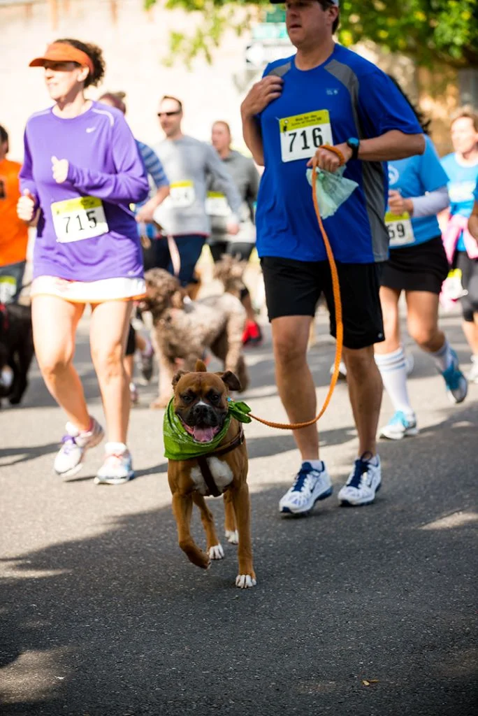 DoveLewis_Run-2012-90.jpg
