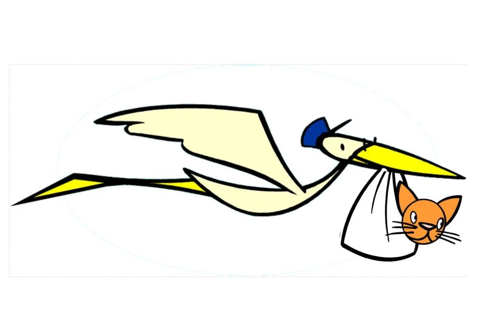 kitten_stork.jpg