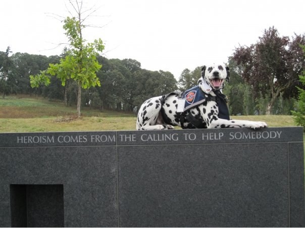 Cody
at the Oregon Fallen Firefighters Memorial in Salem. Photo: Amy LInder 