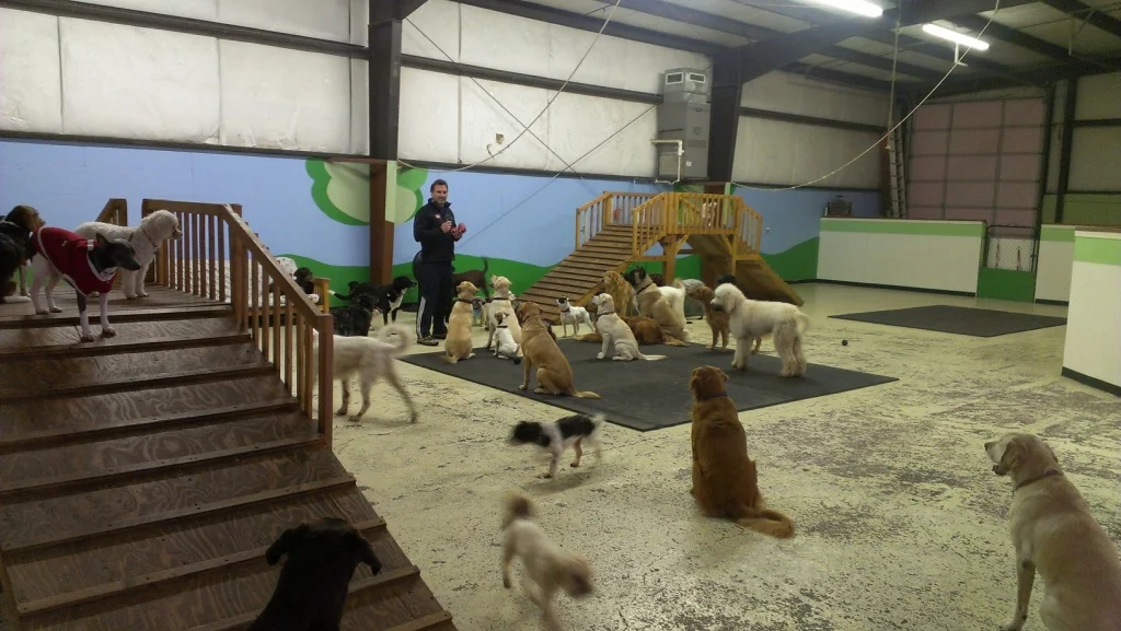 Photo-TipsBoardingTailsRWaggin.jpg