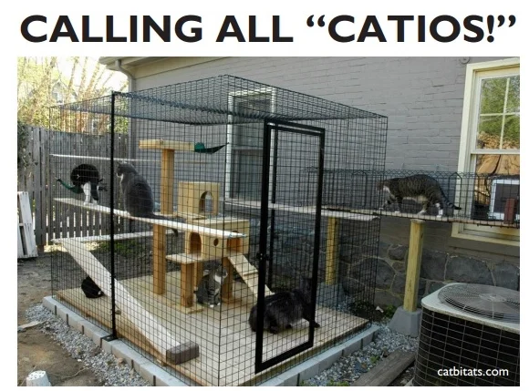 catbitats