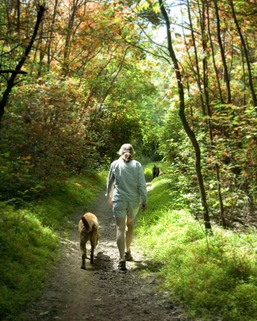 Ftr-SafetyWalkinWoods (511x640).jpg