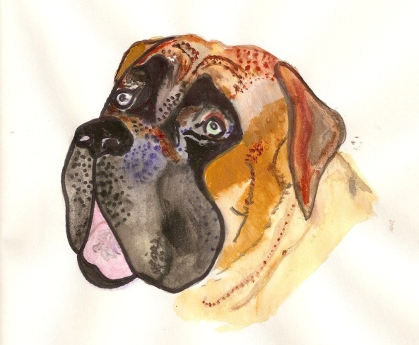 MastiffWatercolor.jpeg