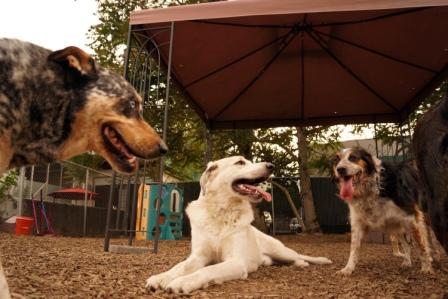 bella jack and trunks.jpg