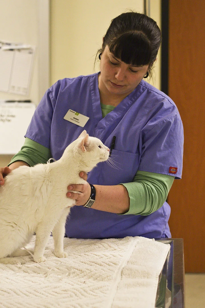 DoveLewis's critical care is one of the best in the country.