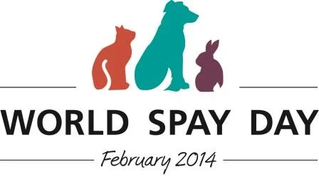 Feb14_ParticipantLogo_color_72dpi-3.jpg
