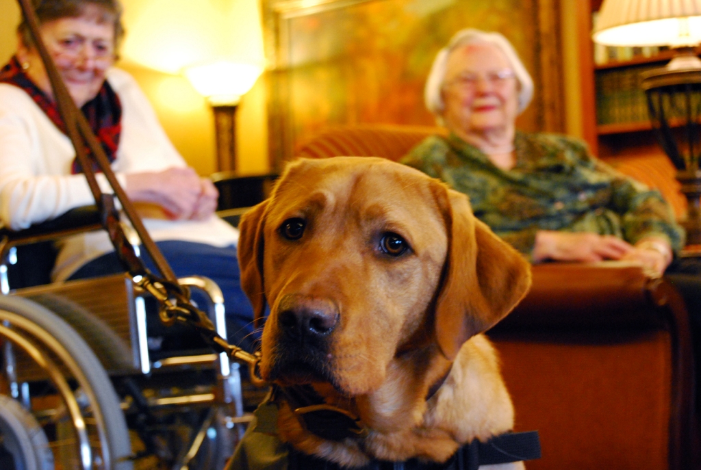 Nixon visiting adults at The Stafford in Lake Oswego