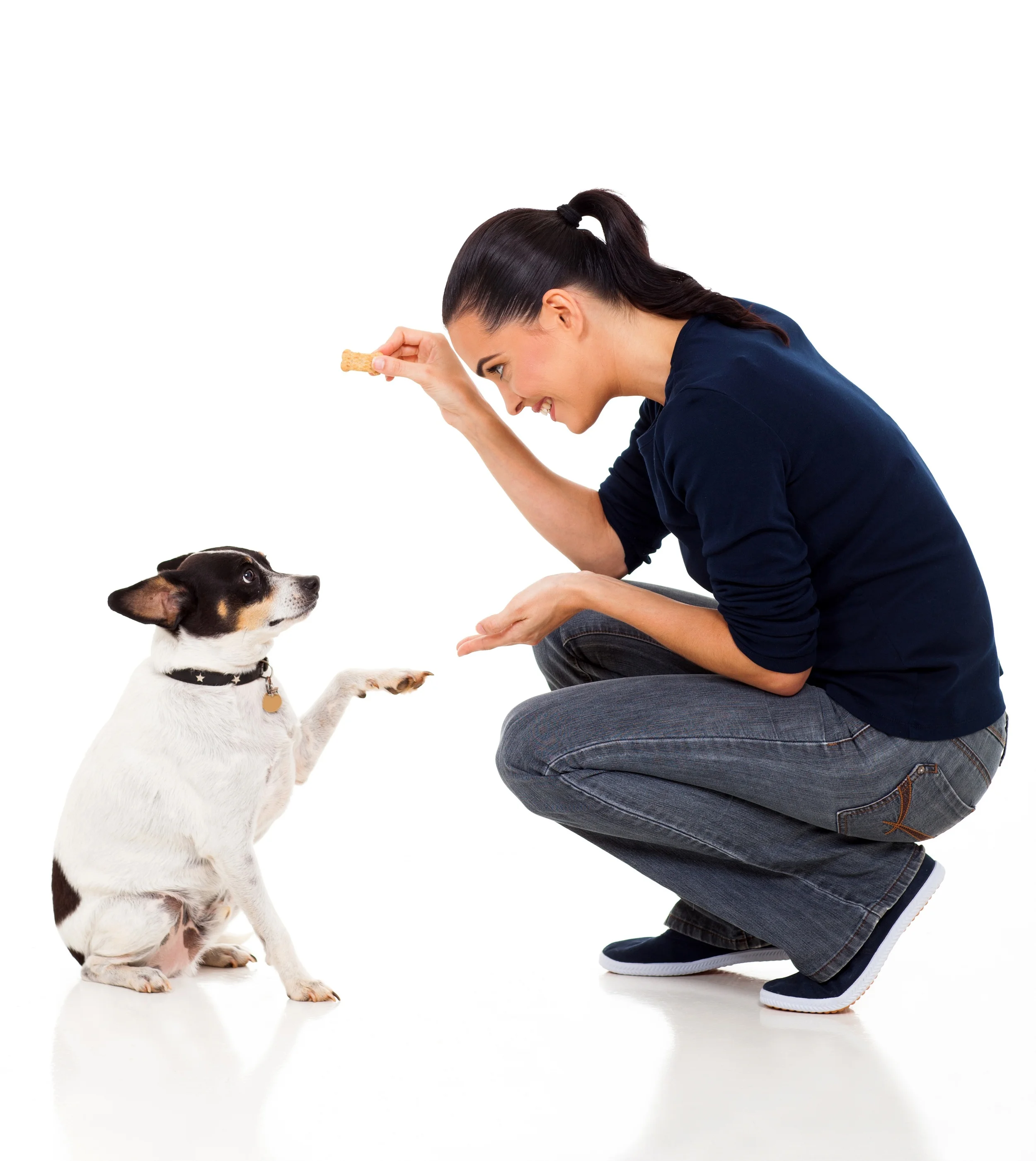 dog pulls on leash tried everything