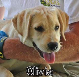 Olivia.jpg