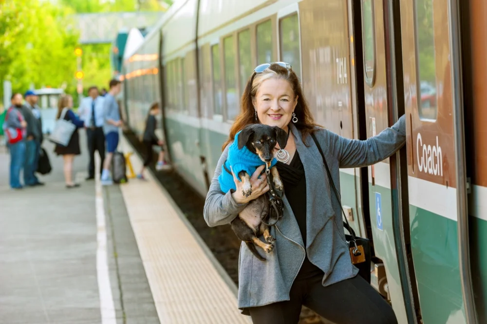 What Amtrak Trains Allow Dogs