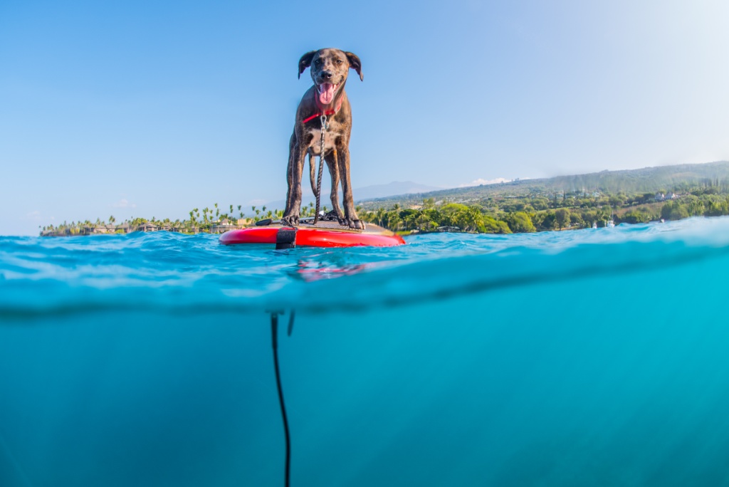AdobeStock_189253141_c.jpeg