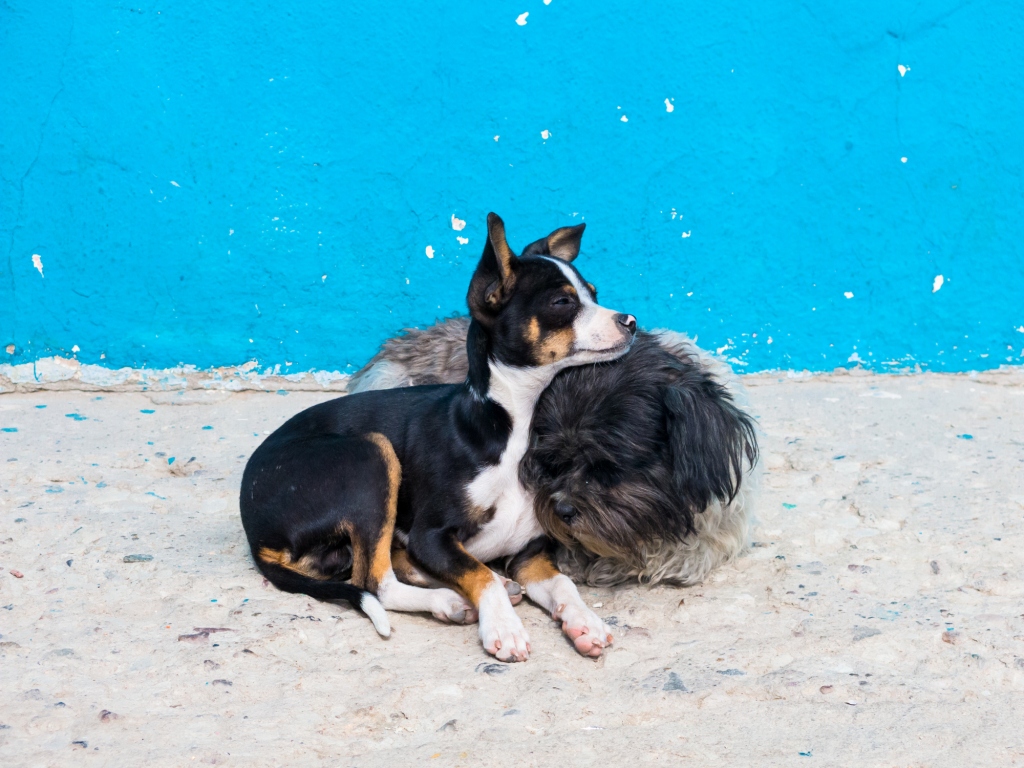 iStock-456854683.jpg