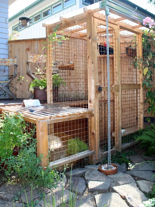 CAtio tour 7.jpg