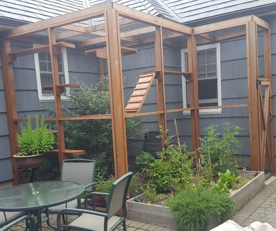 Catio tour 5.jpg