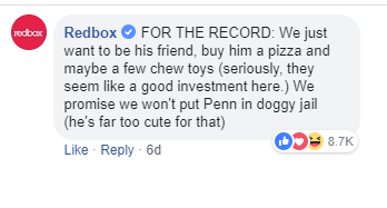 A few chew toys as a good investment