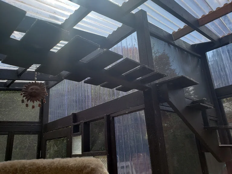The skybridge and steps in the Blake catio