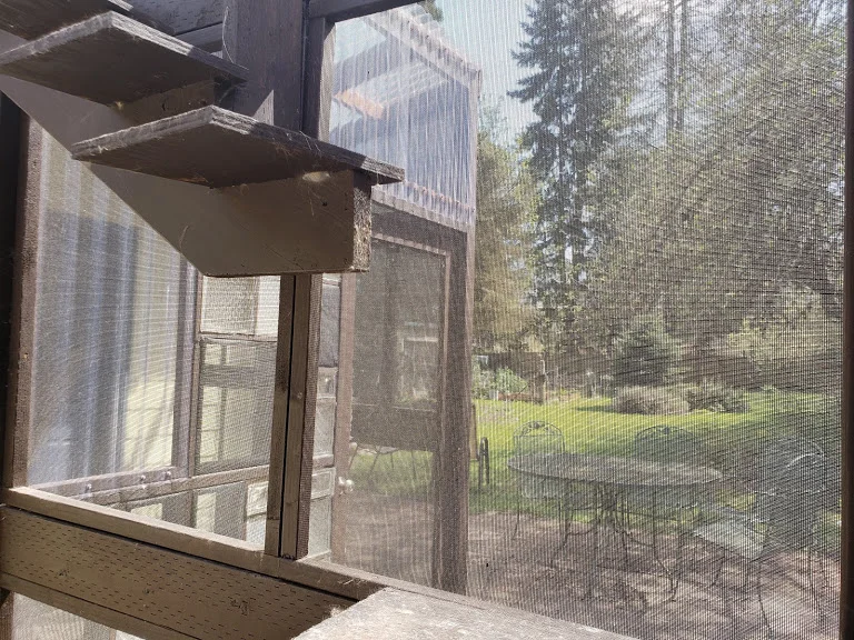 This catio uses a variety of materials, including reclaimed windows, pet screen, corrugated plastic, and glass block. A previous version used wire fencing, which allowed birds to accidentally get inside.