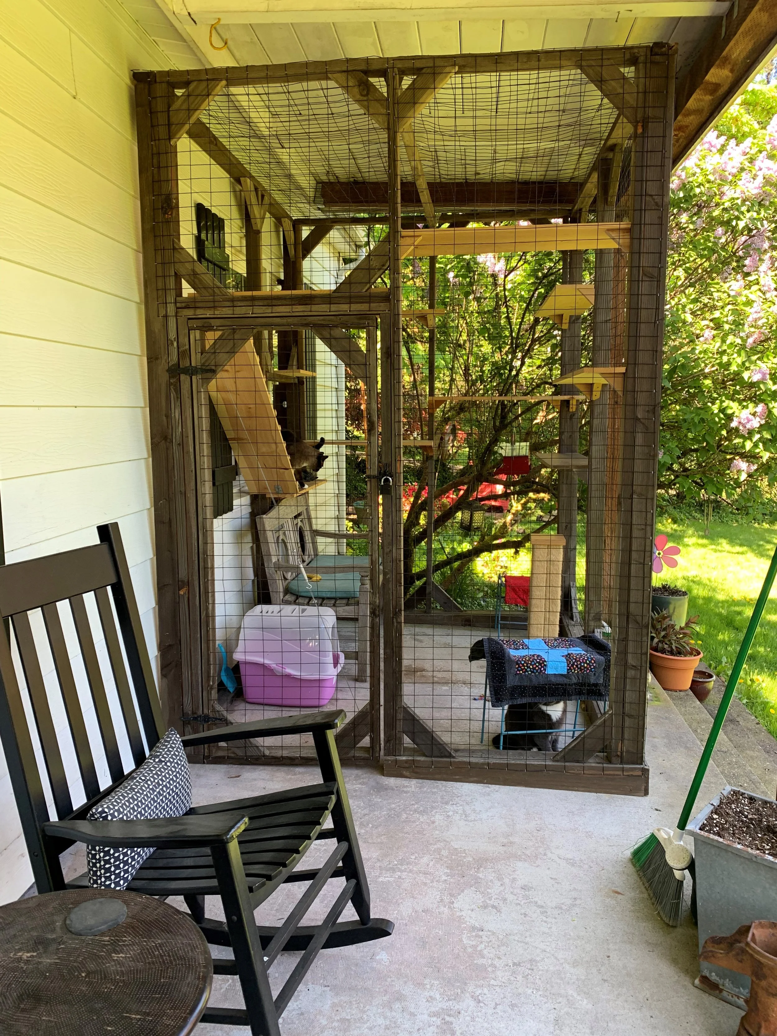 best catio