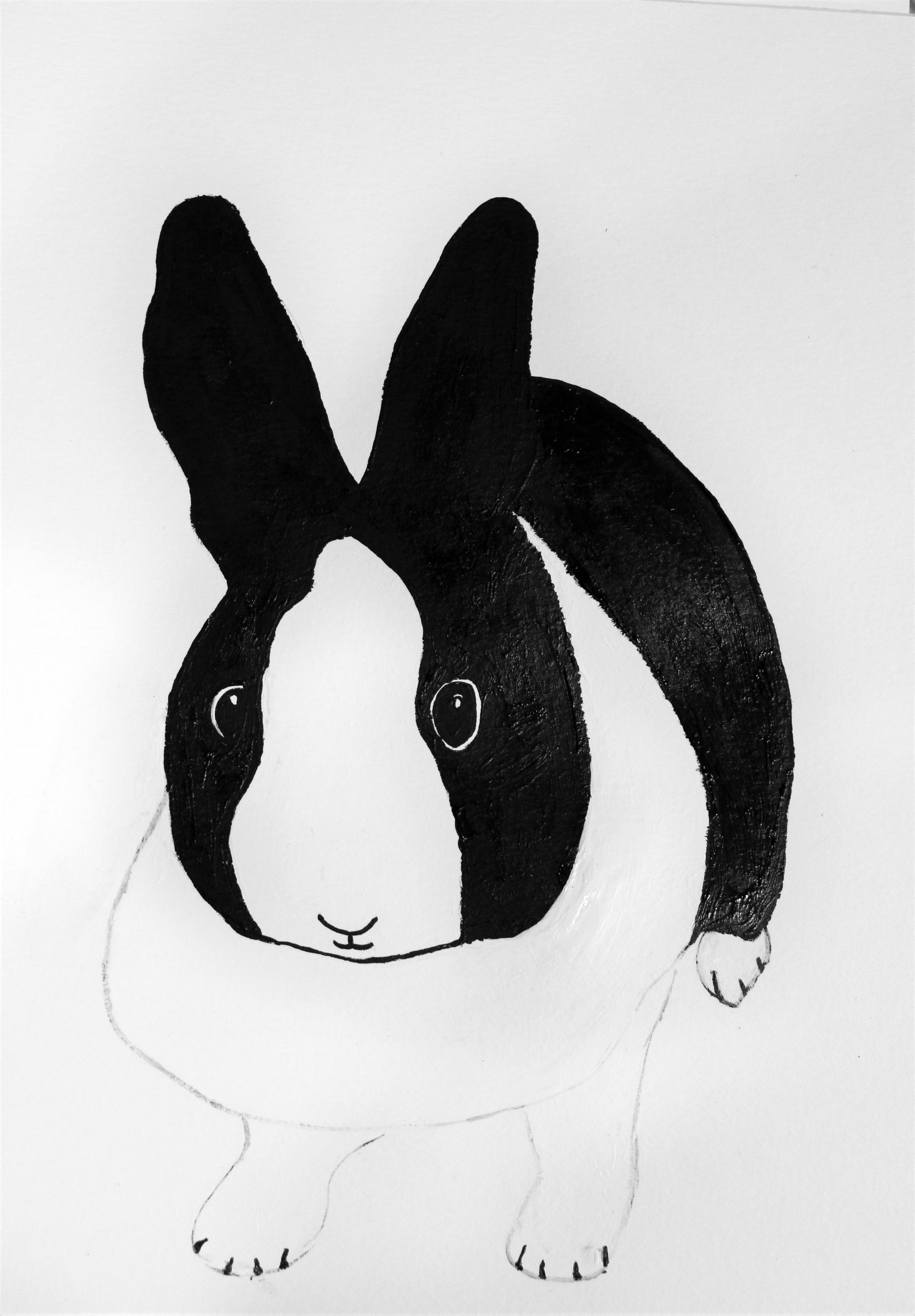 Matchmaker The Dutch Bunny Spot Magazine Matchmaker The Dutch Bunny Spot Magazine