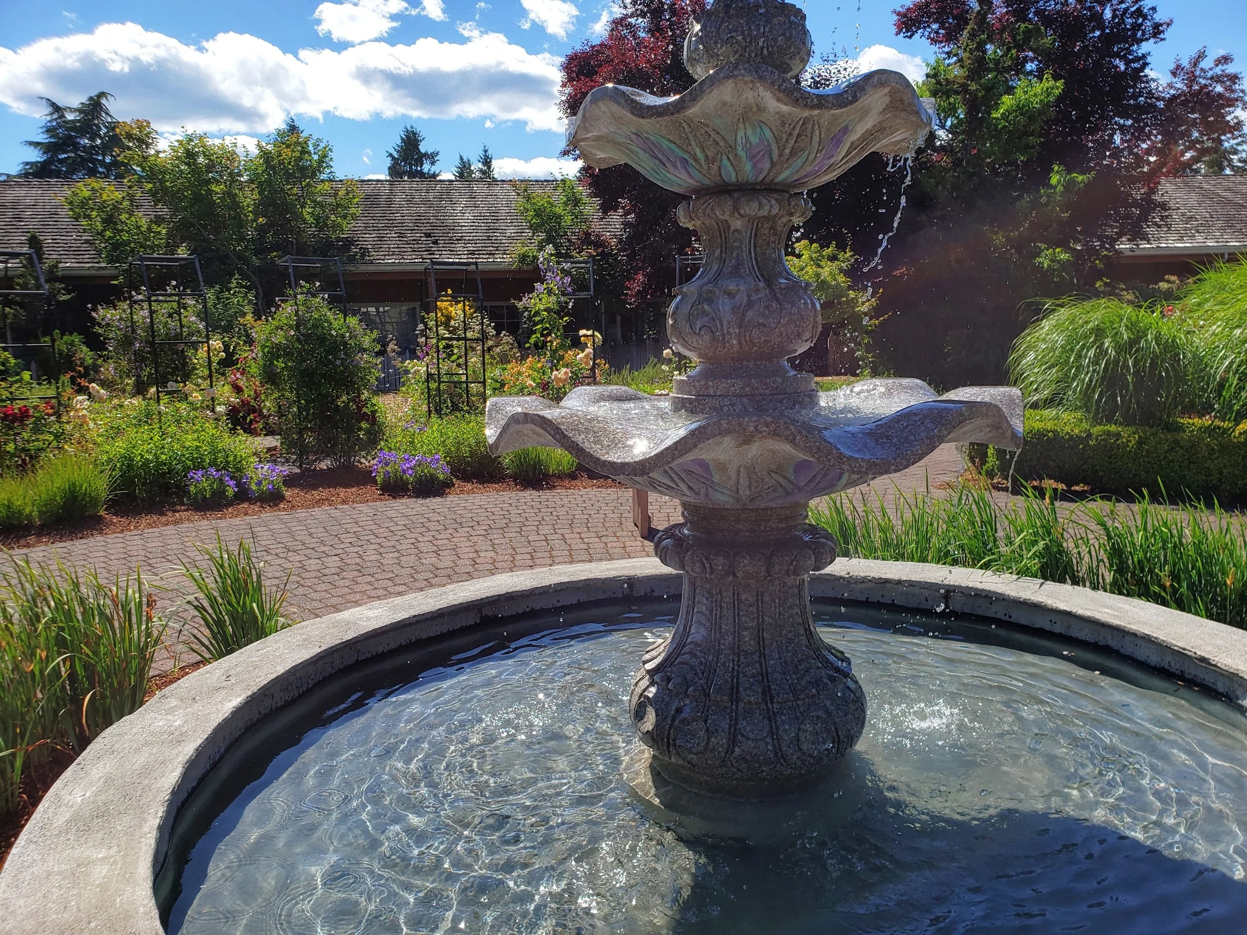 A garden at The Village Green