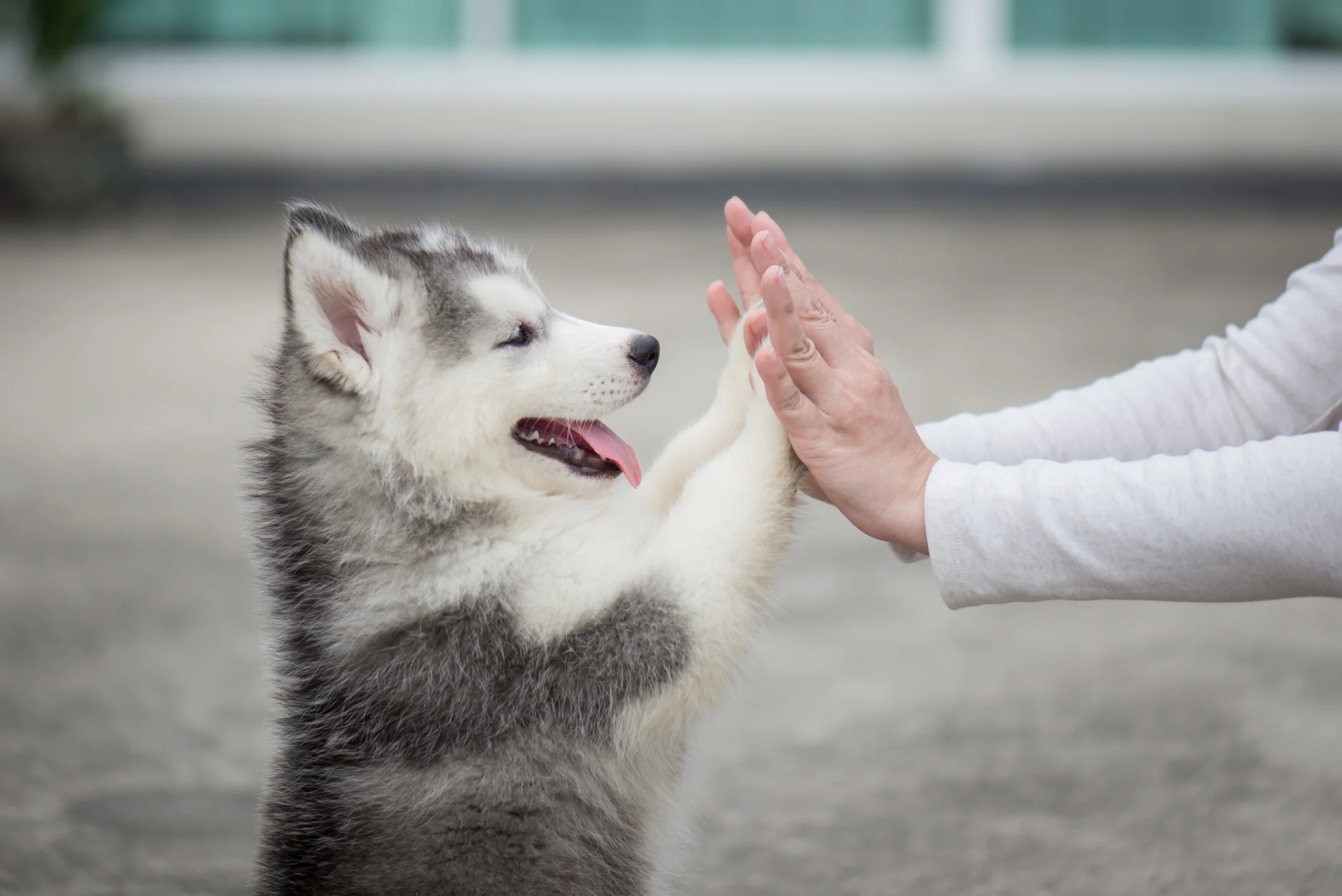 iStock-653819284.jpg