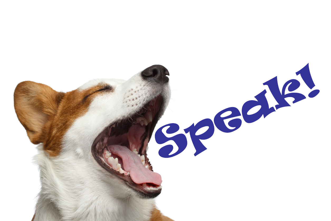 C-_Users_GardenFairy_Documents_Spot-Mag_Sponsorships_Speak-graphic.jpg