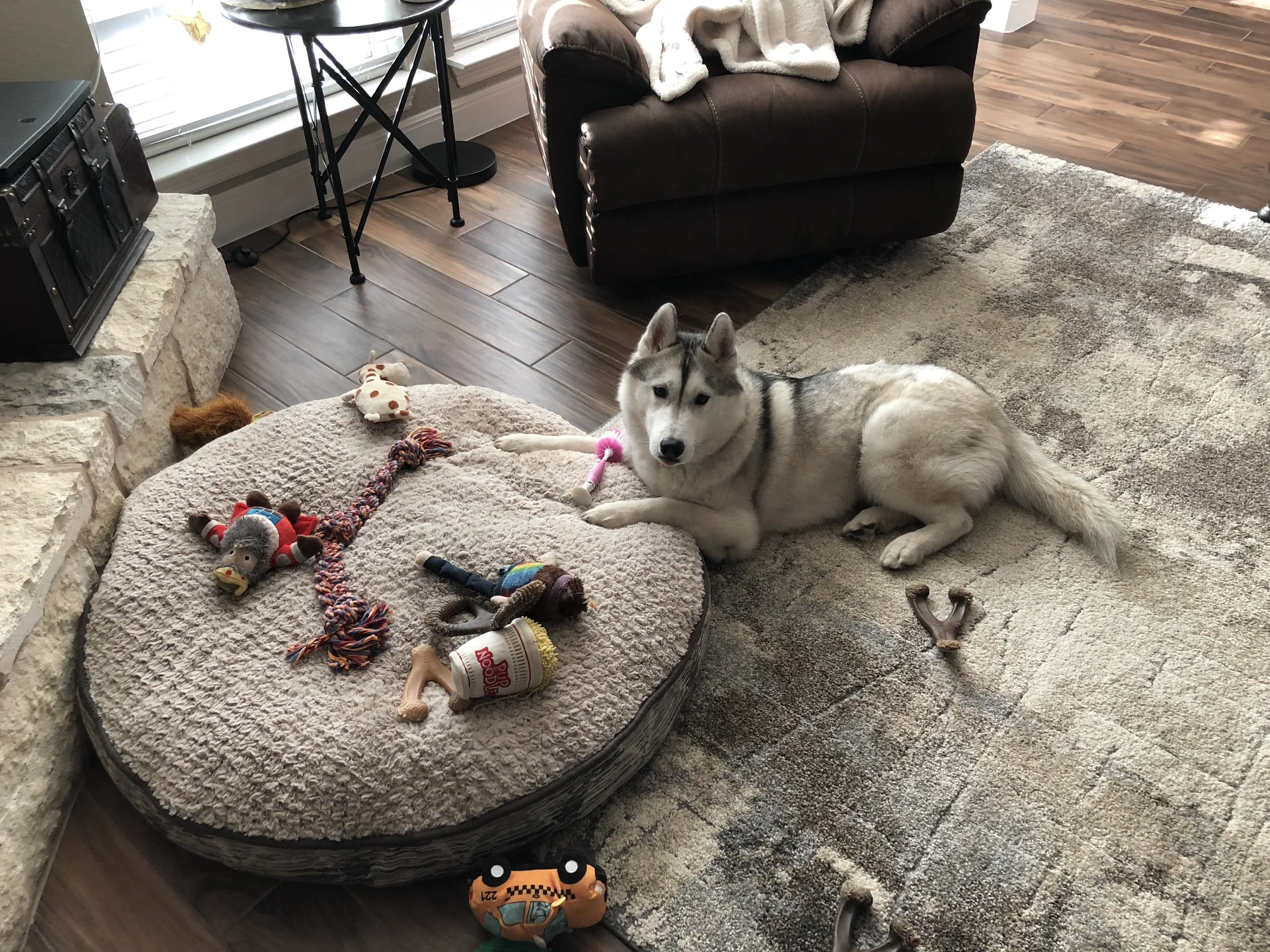 What doesn’t belong?