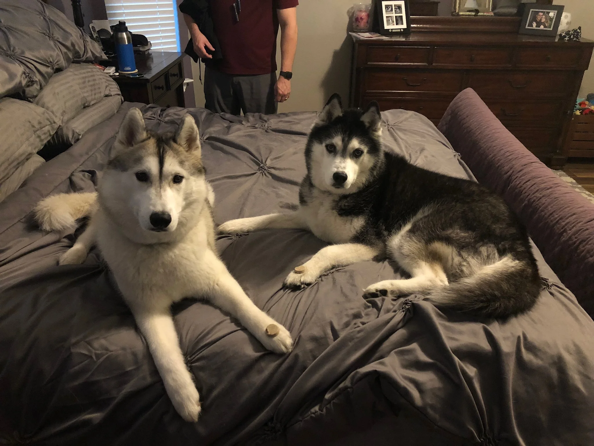 Almost Wordless Wednesday