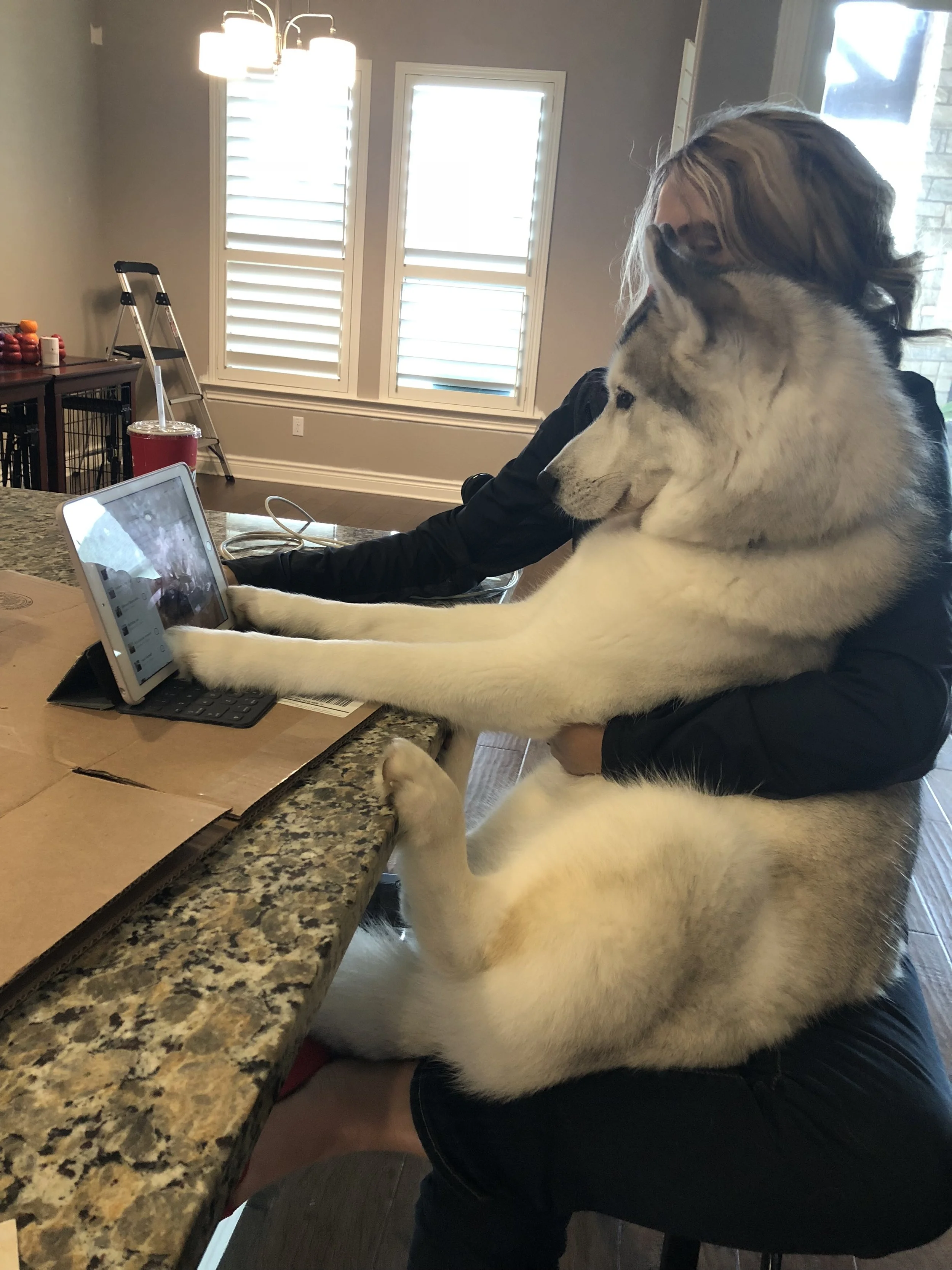 Pups are so helpful