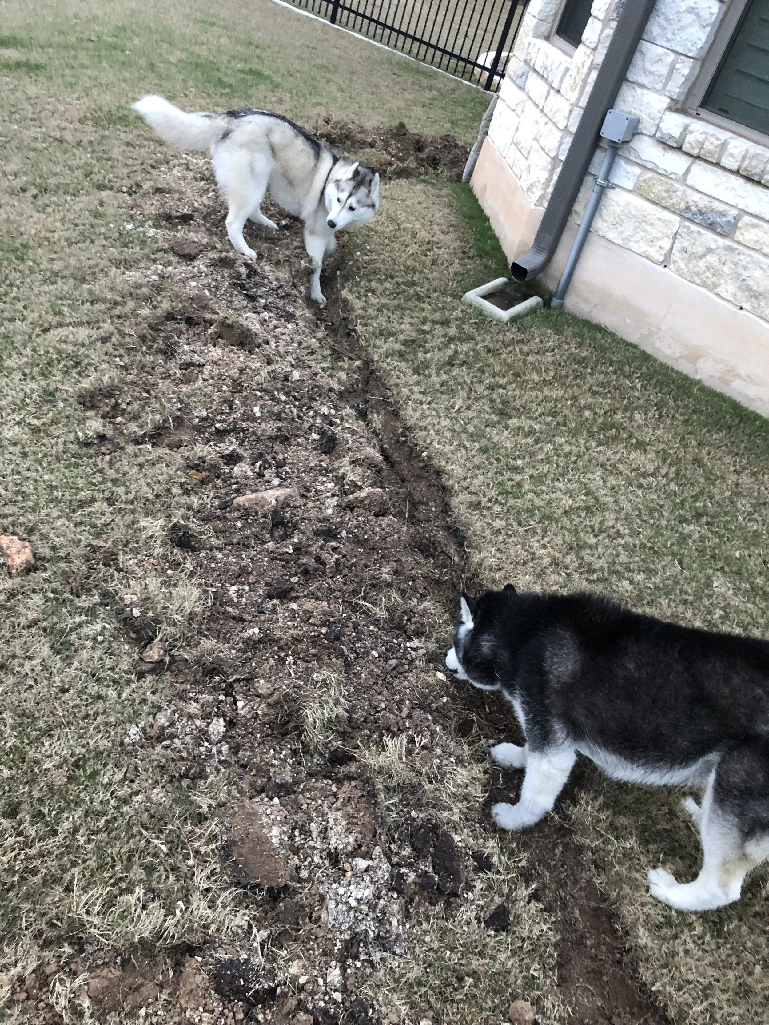 This digging is out of control