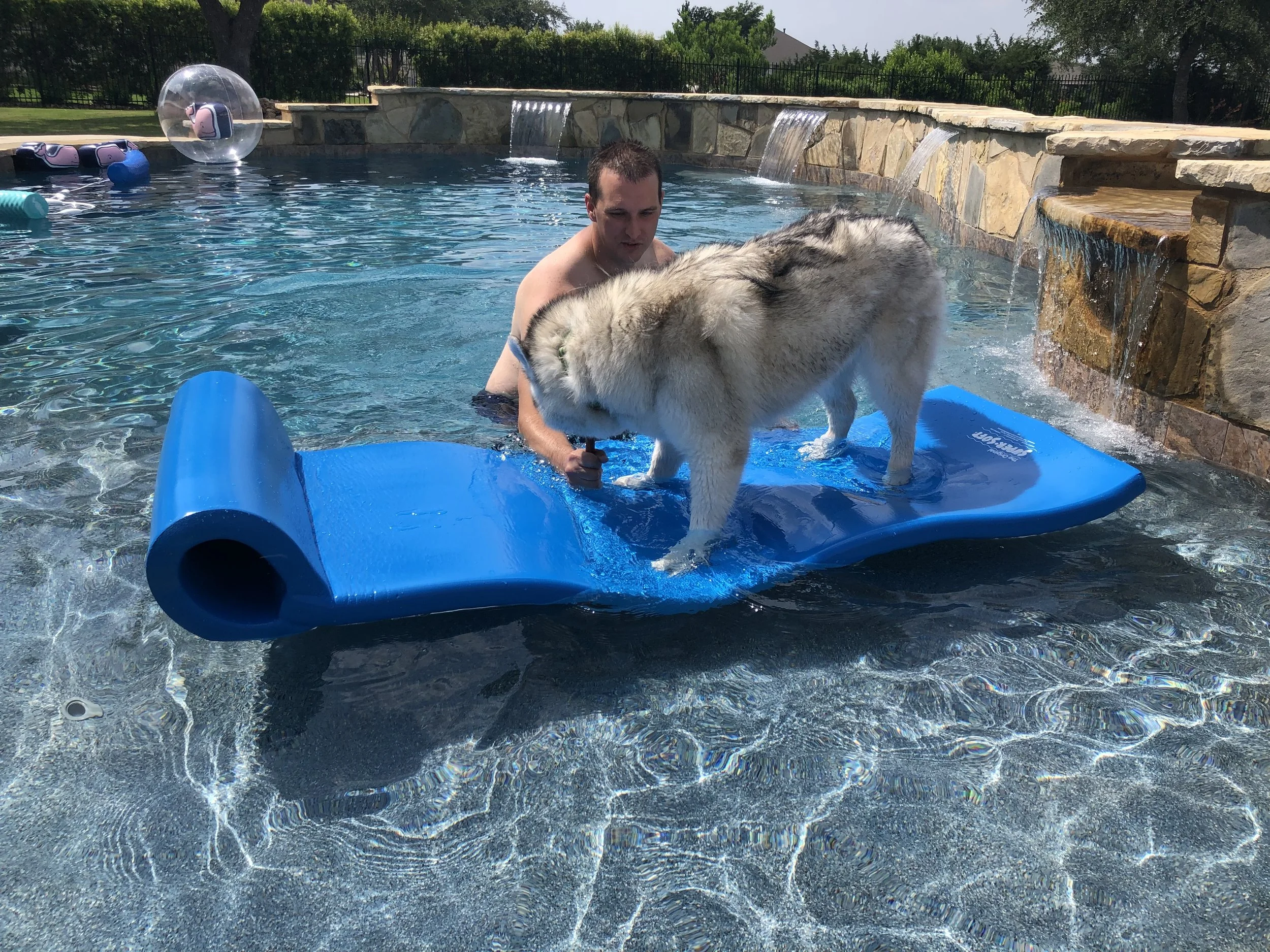 The first real pool day of summer