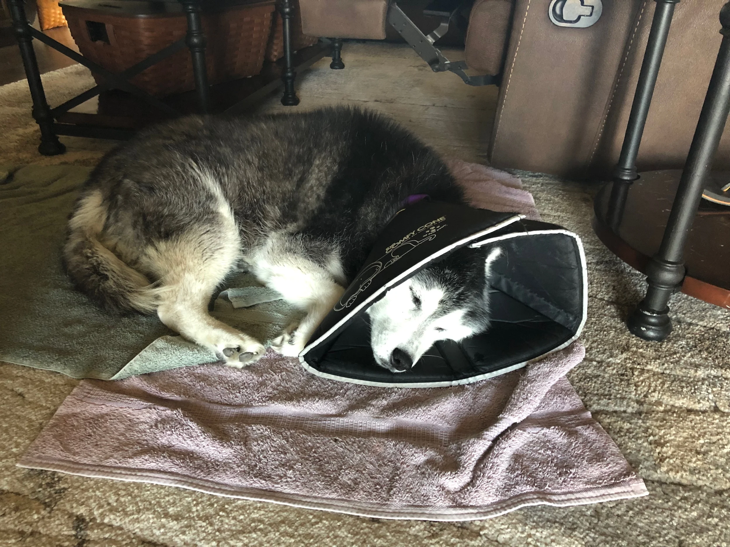 Kat goes to the doctor